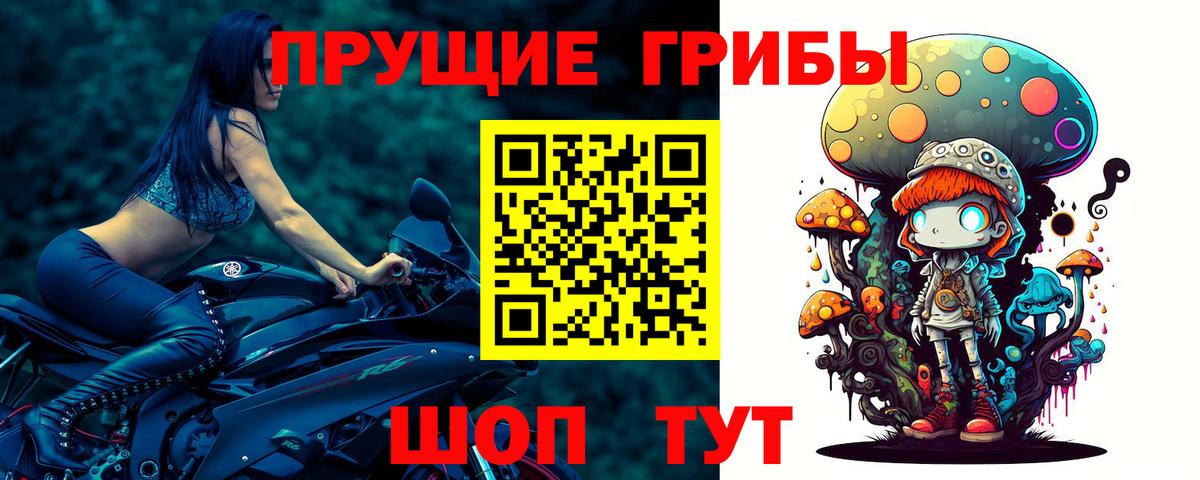 Шарыпово  Галлюциногенные грибы прущие грибы  Псилоцибиновые грибы GOLDEN TEACHER  Вход с VPN 